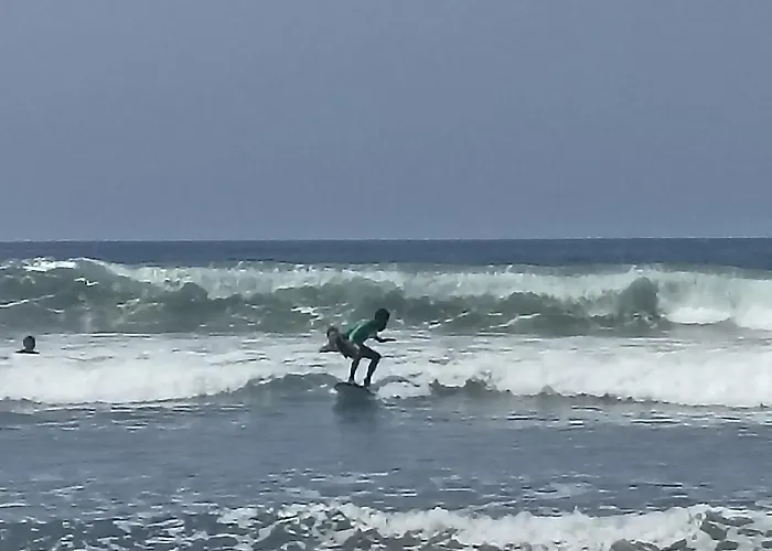 ホームステイ Ayolah Surf House And Surf Camp