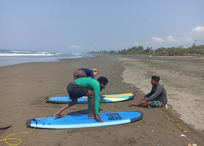 Ayolah Surf House And Surf Camp * Jembrana