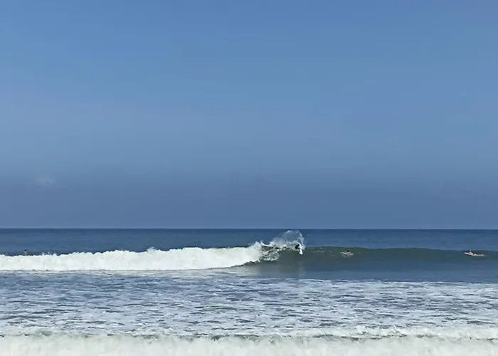 Ayolah Surf House And Surf Camp Jembrana