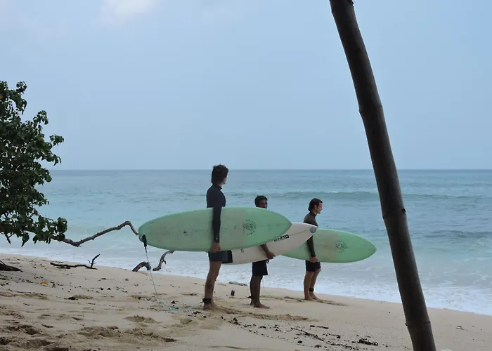 Ayolah Surf House And Surf Camp ホームステイ