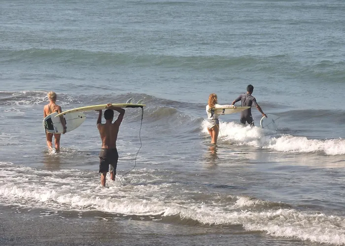 Ayolah Surf House And Surf Camp ホームステイ *
