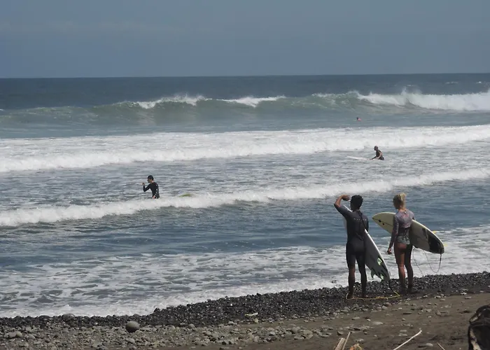 Ayolah Surf House And Surf Camp ホームステイ