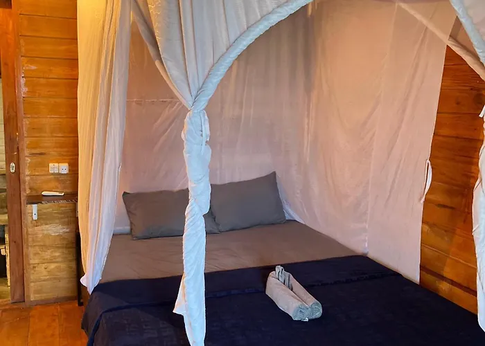 Ayolah Surf House And Surf Camp ホームステイ *